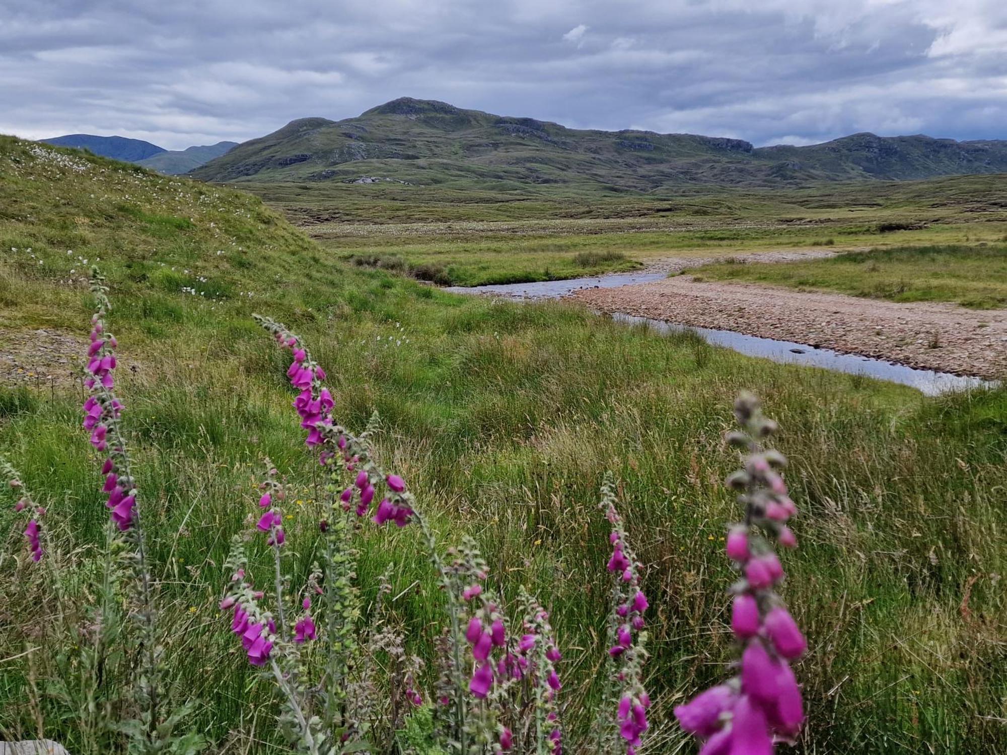 Gorse Gorgeous Glamping Hideaway Dundonnell Exterior foto